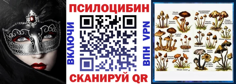 Псилоцибиновые грибы Cubensis Дигора